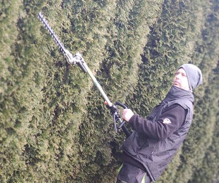 Hecken-, Baum- & Strauchpflege